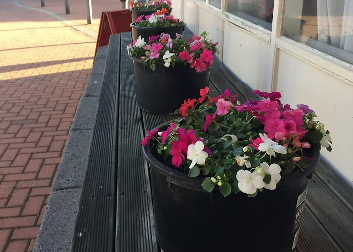 Boulevard Rotorua